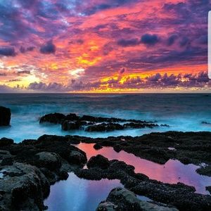 Meet your Posher, Devin